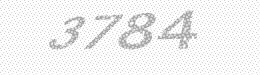 Visual security code — type the characters shown in the image
